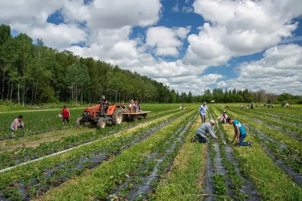 Unique products from the Témiscamingue heartland.